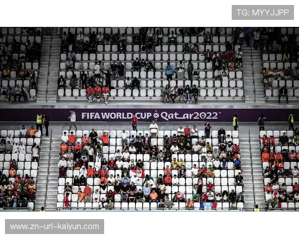 混团世界杯看台氛围热烈，青少年观众占比提升